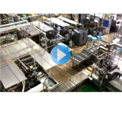 Tofu Production Line