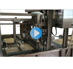 Silken Fried Tofu Automatically Cut Machine