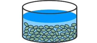 浸漬